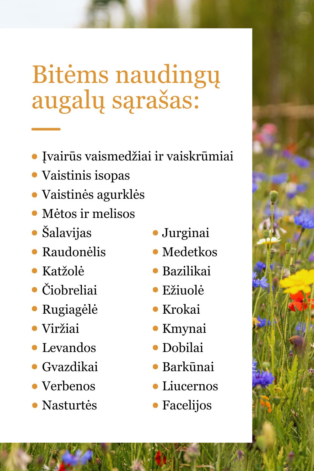 Bitems-naudingu-agalu-sarasas