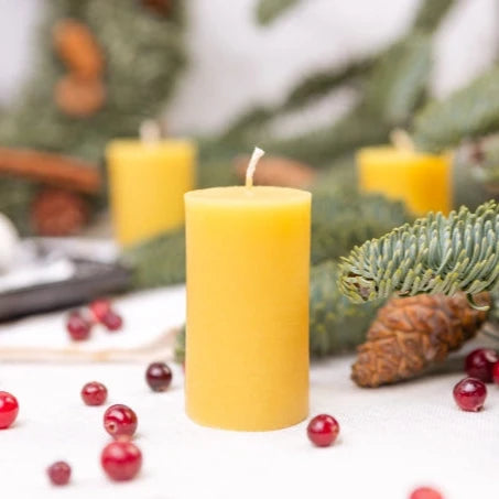 ligi-biciu-vasko-zvake