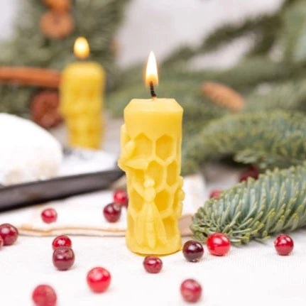 biciu-vasko-zvake-su-korio-rastu