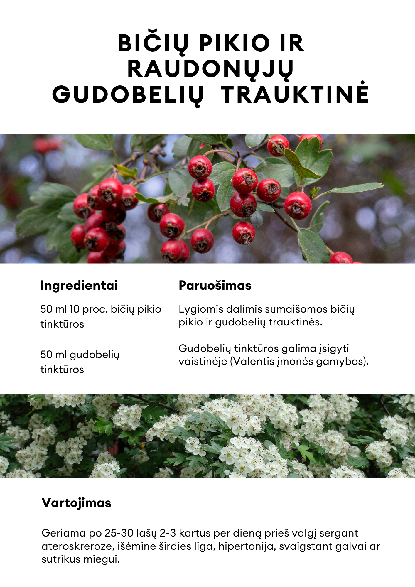 PROPOLIO spiritinė TINKTŪRA, lašai, 10%