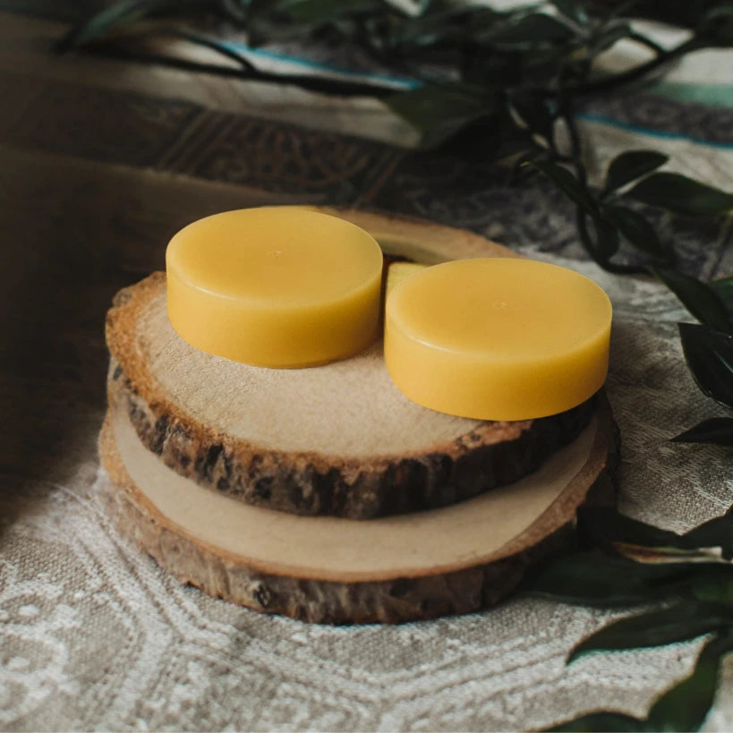 biciu-vasko-gabaleliai