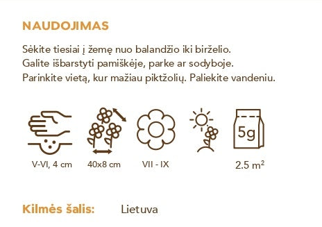 Kaip-seti-seklas