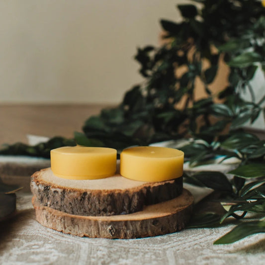 nauralus-biciu-vasko