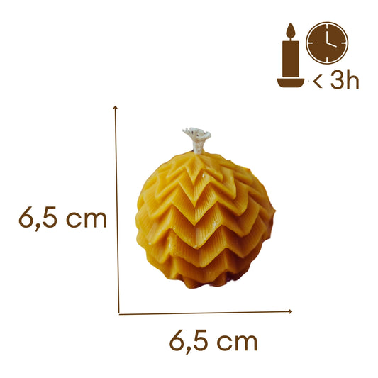 vasko zvake su rastu