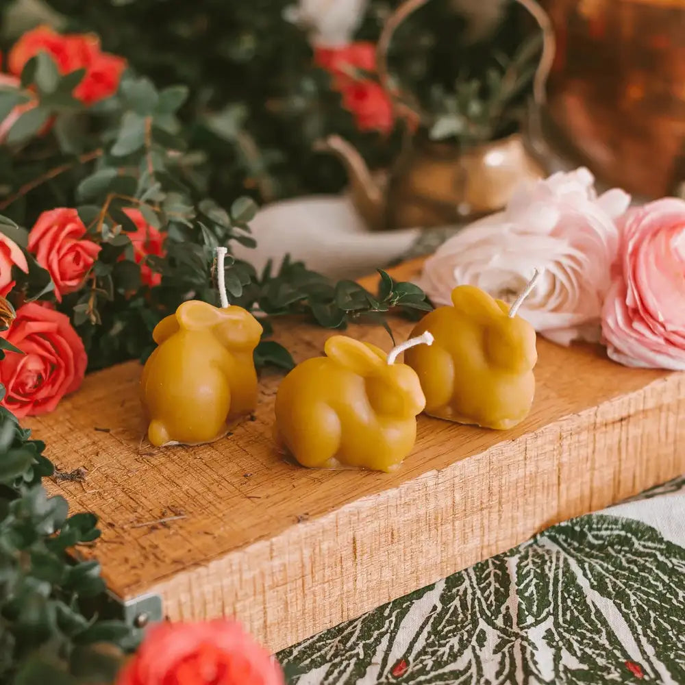 biciu-vasko-velyku-zvakes-zuikiai-kiskiai