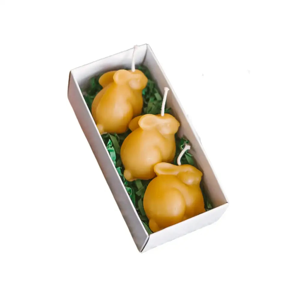 biciu-vasko-velyku-zvakes-zuikiai