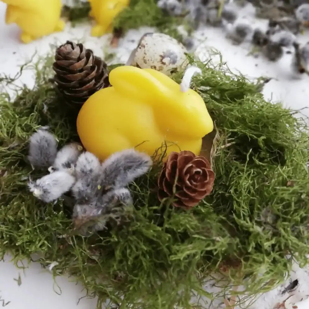 biciu-vasko-velyku-zvakes-zuikis-kompozicija