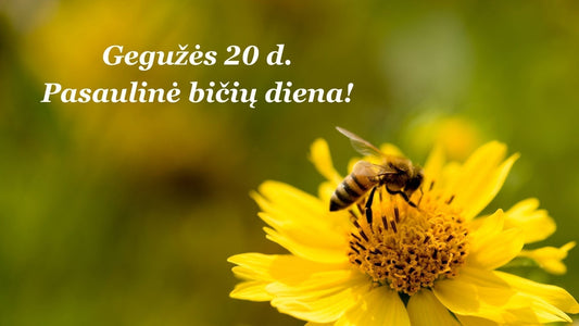Pasaulinė bičių diena: kodėl bitės svarbios ne tik gamtai, bet ir mums visiems?