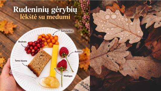 Su kuo valgyti medų? 5 rudeniški deriniai