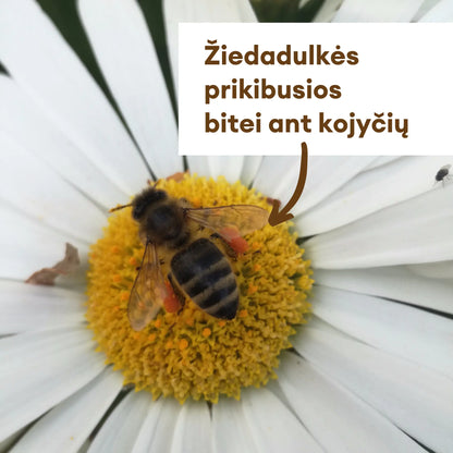 bite surenka geliu ziedadulkes