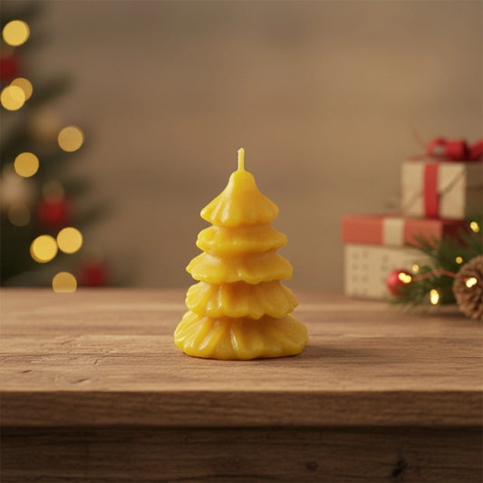 vaskine biciu vasko zvake egle maza