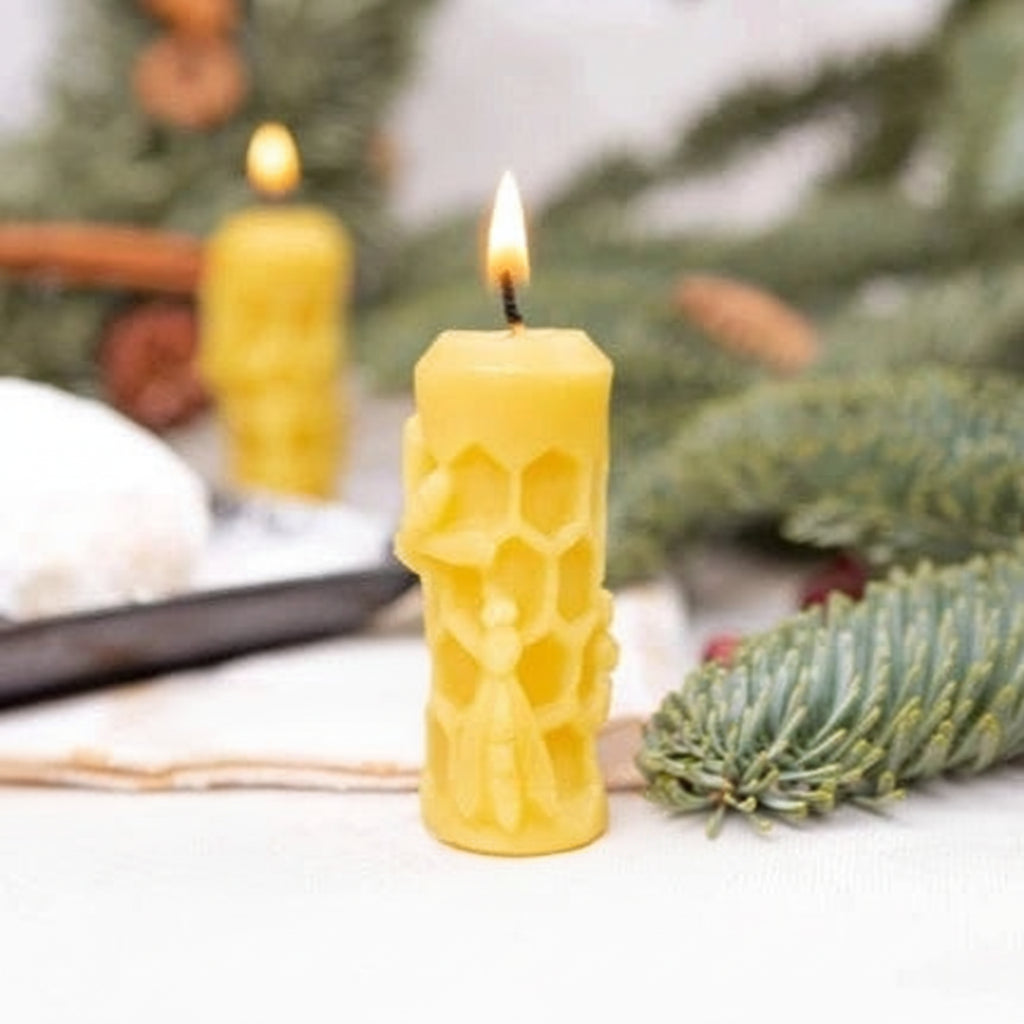 biciu-vasko-zvake-su-korio-rastu