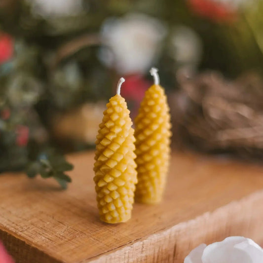 biciu-vasko-zvakes-kankorezis-