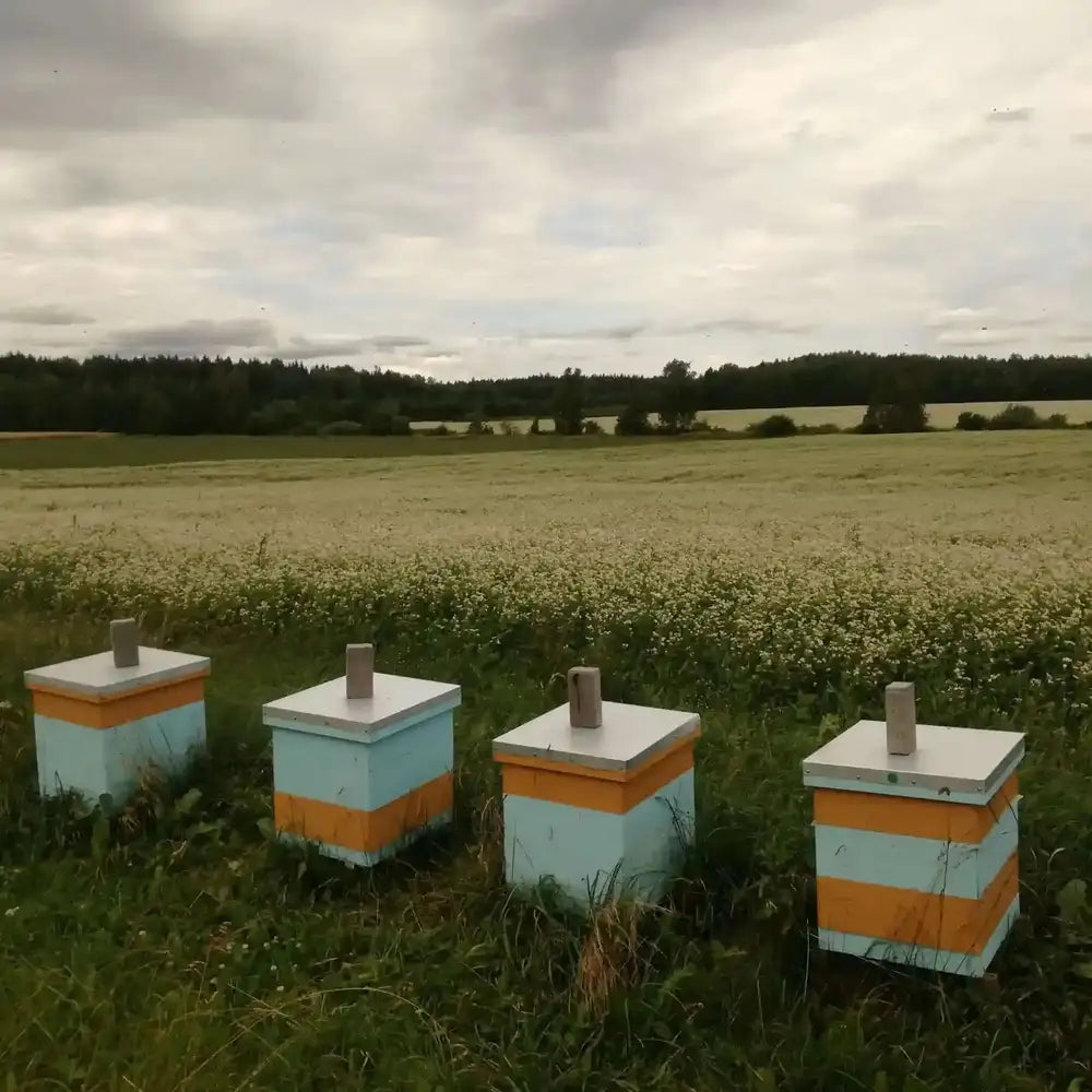 aviliai GRIKIŲ medus, ekologiškas