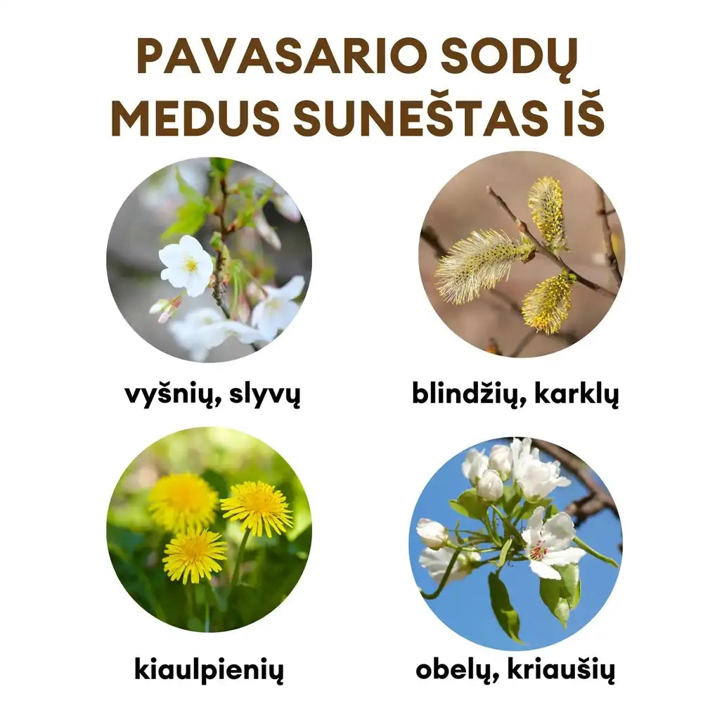 pavasarinis PIENIŲ medus, ekologiškas